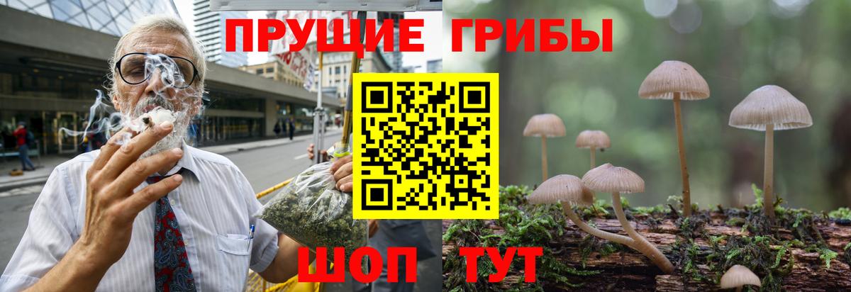 Галлюциногенные грибы Cubensis  Вход с VPN  даркнет сайт  Гудермес 