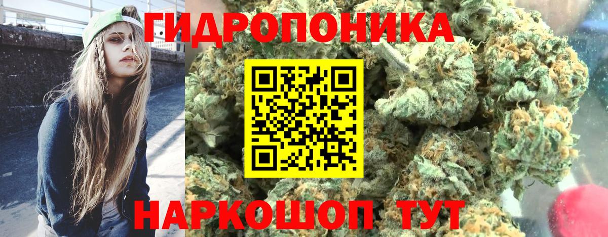 Канабис Ganja  Конопля план  Бошки Шишки White Widow  Гудермес  Вход с VPN  Шишки марихуана планчик 